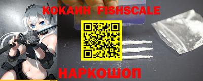 jwh Кингисепп