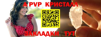 jwh Кингисепп