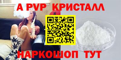 jwh Кингисепп