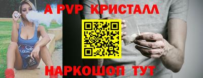 jwh Кингисепп