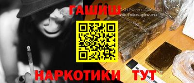 jwh Кингисепп
