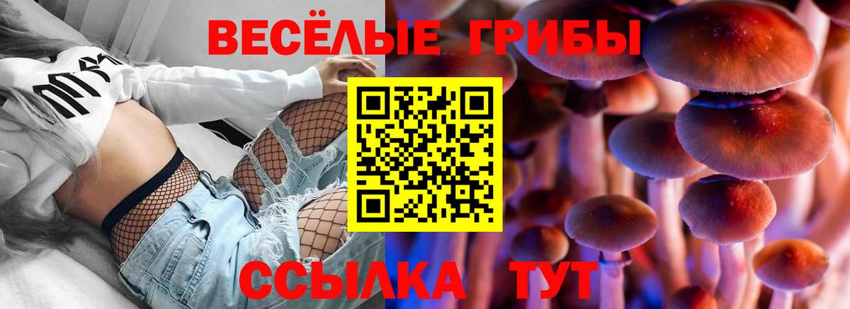 Когалым  как найти закладки  Псилоцибиновые грибы мухоморы  Вход с VPN  Псилоцибиновые грибы мицелий 